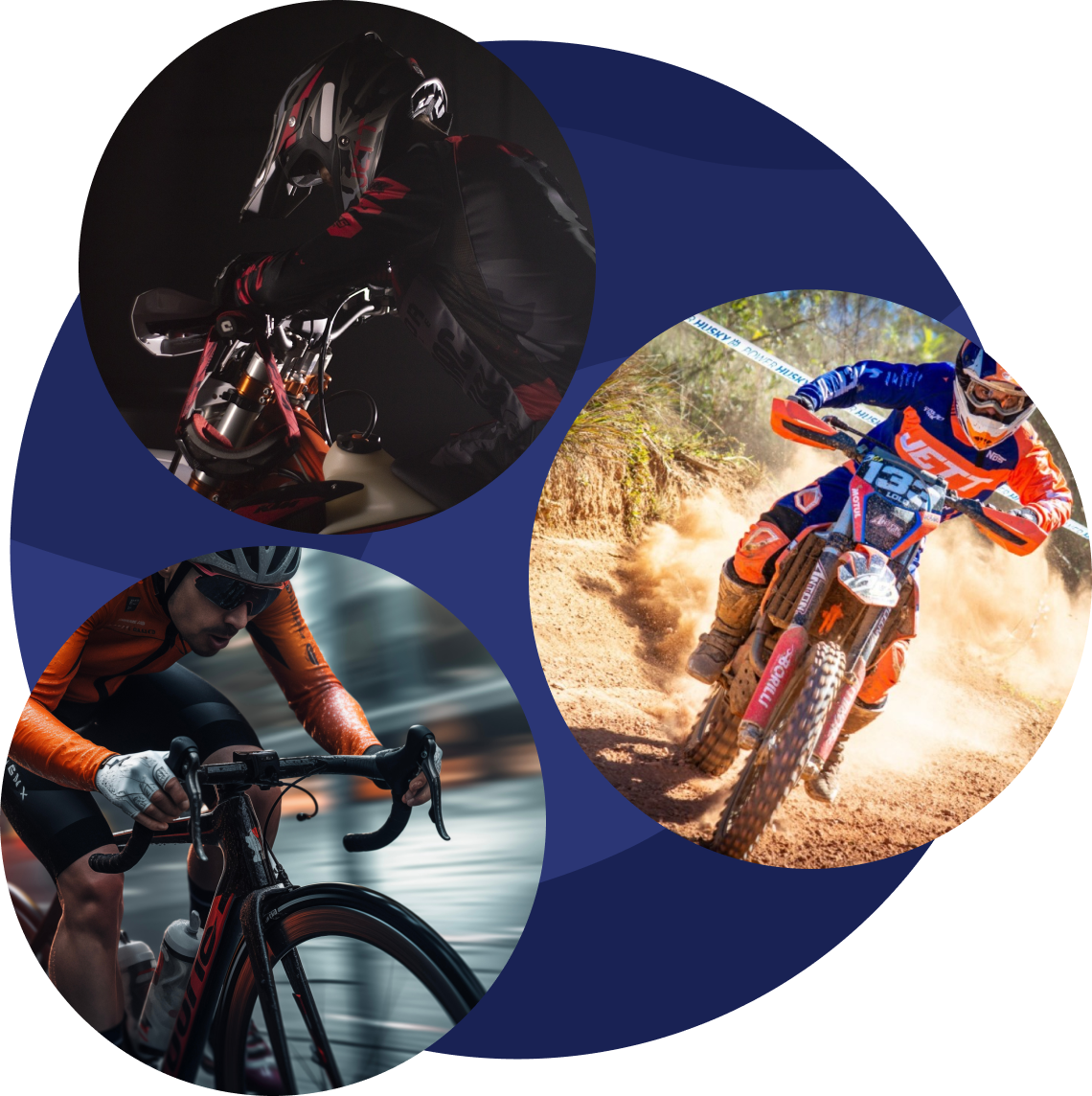 Produtos e Serviços